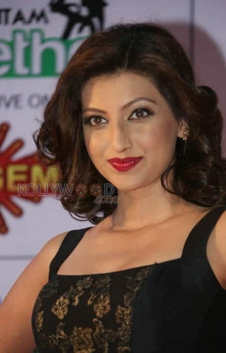 Hamsa Nandhini At Memu Saitham Dinner With Stars Red Carpet Photos 08