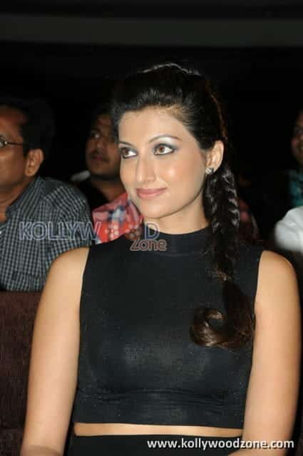 Hamsa Nandhini Pictures 03