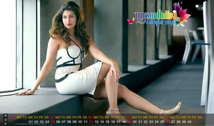 Hamsa Nandini My South Diva Calendar Photos 01