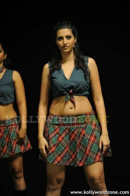 Hamsa Nandini Stills 46