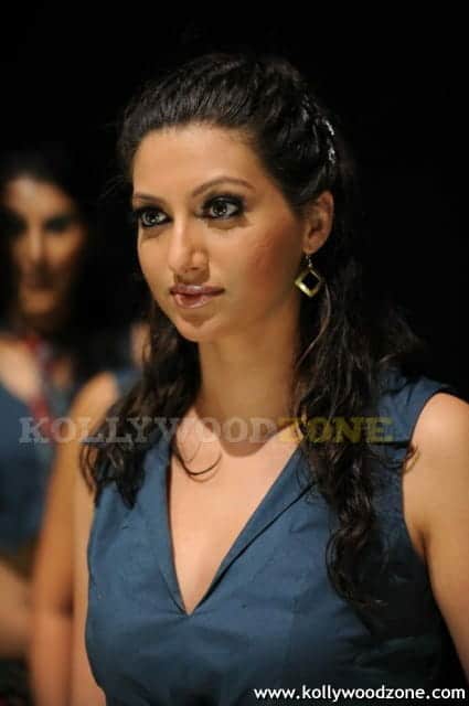 Hamsa Nandini Stills 47