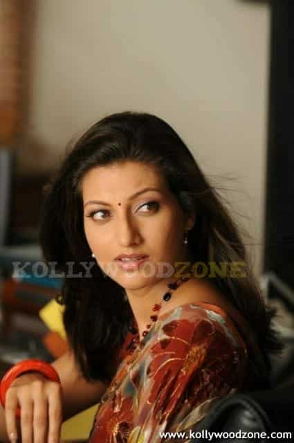 Hamsa Nandini Stills 52