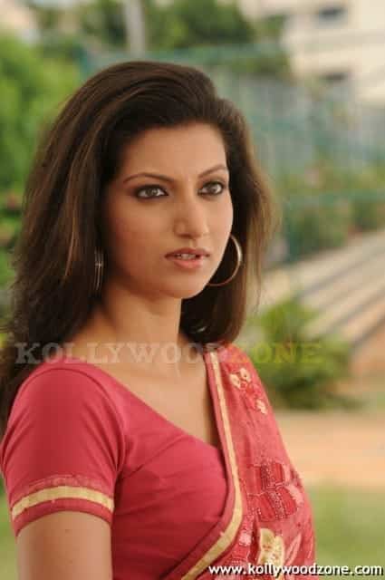 Hamsa Nandini Stills 55