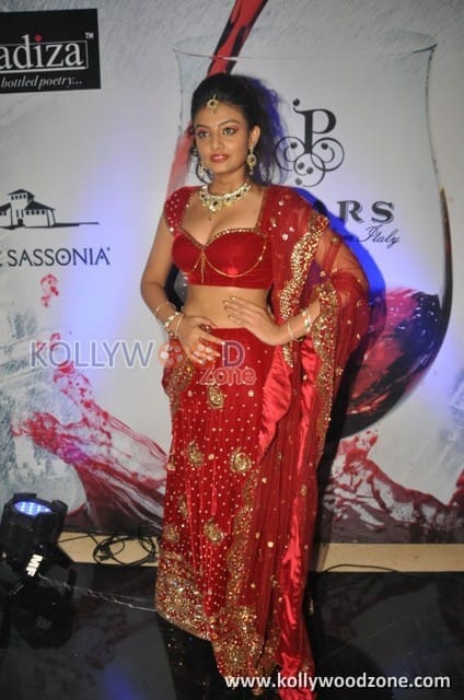 Nikitha Narayan Sexy Fashion Show Photos 13