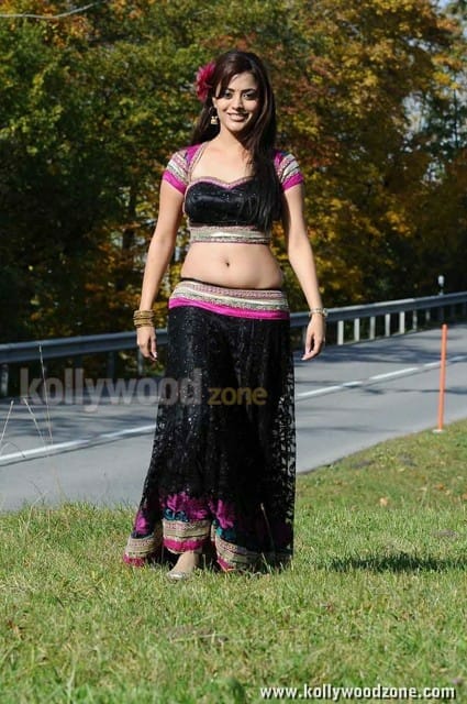 Nisha Agarwal Hot And Sexy Pictures 89