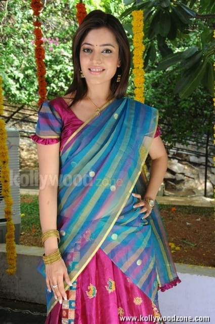 Nisha Agarwal Sexy Half Saree Photos 20