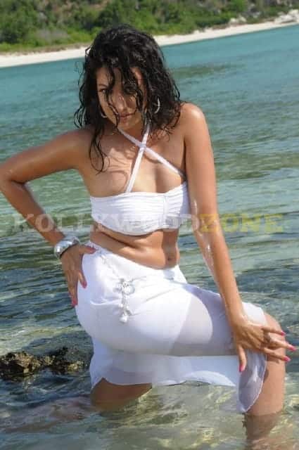 Sexy Hamsa Nandini Pictures 01