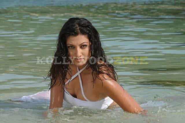 Sexy Hamsa Nandini Pictures 05