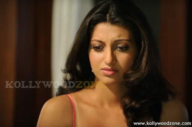 Sexy Hamsa Nandini Stills 12