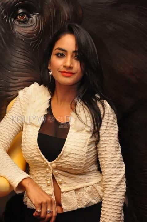 Sexy Pooja Sree At Khaan Saab Restaurant Launch Photos 05