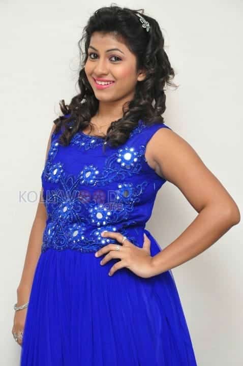 Telugu Actress Geethanjali Photoshoot Pics 13