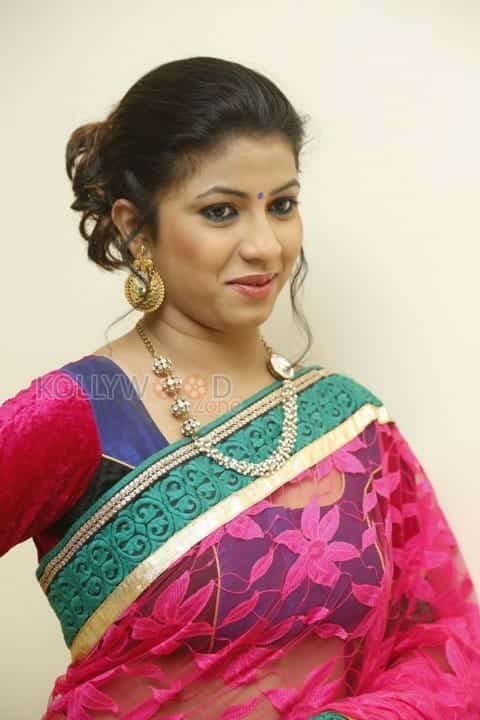 Telugu Actress Geethanjali Saree Photos 08