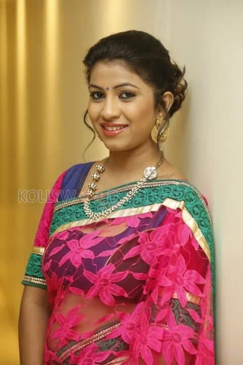 Telugu Actress Geethanjali Saree Photos 11