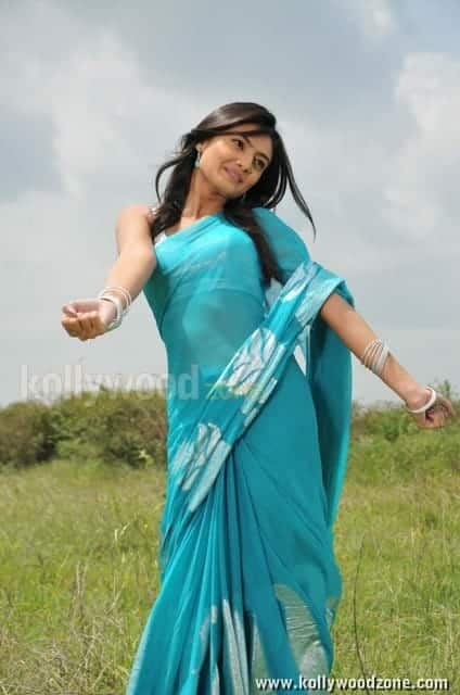 Telugu Actress Nikitha Narayanan In Its My Love Story Pictures 01