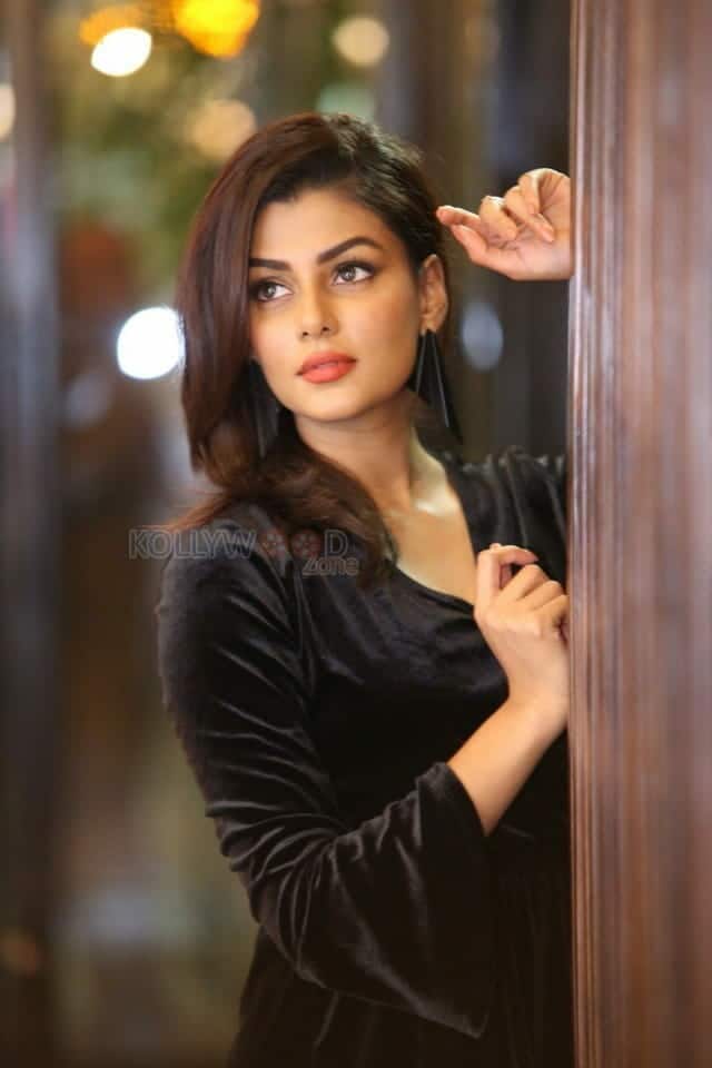 Actress Anisha Ambrose At Ee Nagaraniki Emaindi Thanks Meet Photos 34