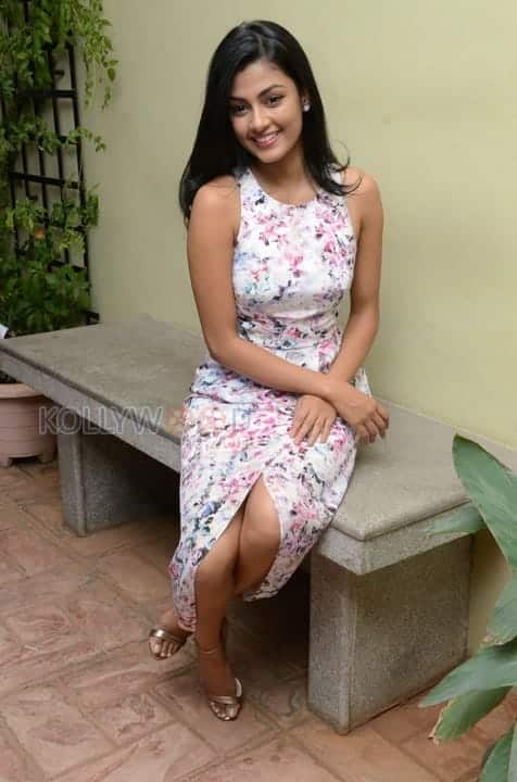 Actress Anisha Ambrose Pictures 08