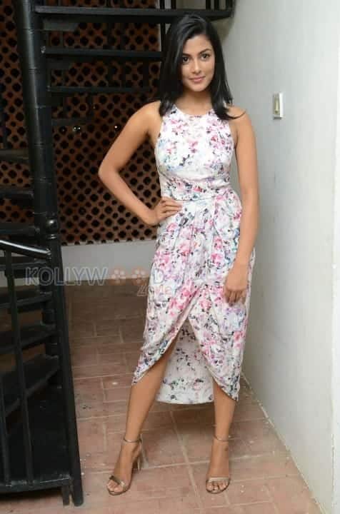 Actress Anisha Ambrose Pictures 29