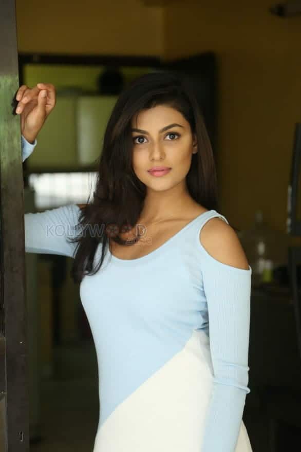 Beautiful Anisha Ambrose Photos 85