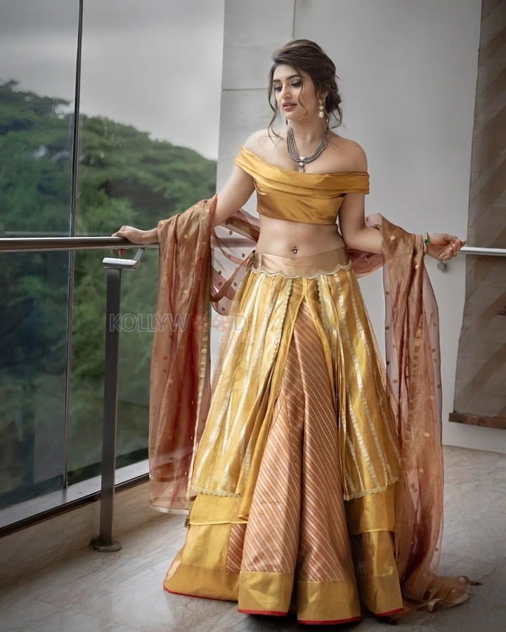 Beautiful Sreeleela in a Golden Yellow Saree Photos 04