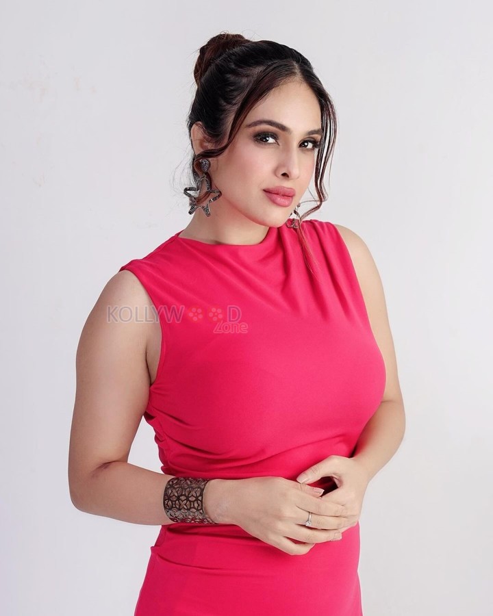 Sizzling Neha Malik in a Red Sleeveless Dress Photos 04