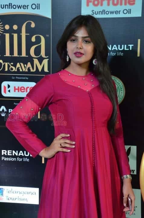 Actress Monal Gajjar At Iifa Utsavam 2017 Pictures 20