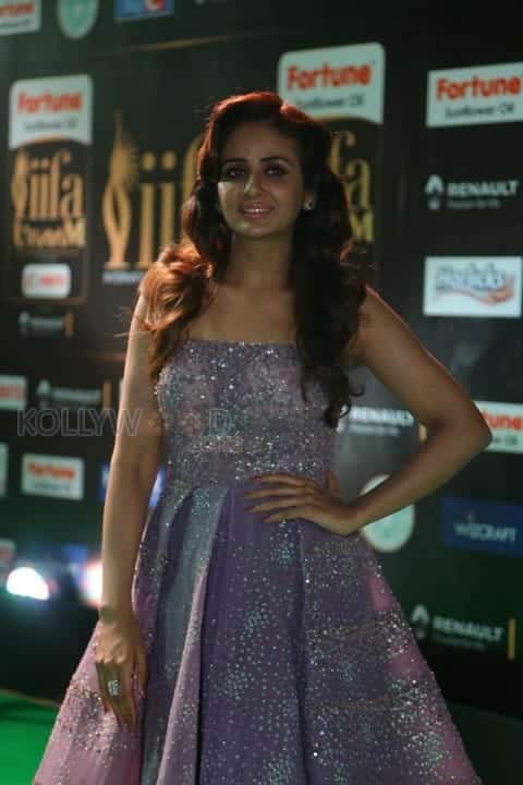 Actress Parul Yadav At Iifa Utsavam 2017 Pictures 15