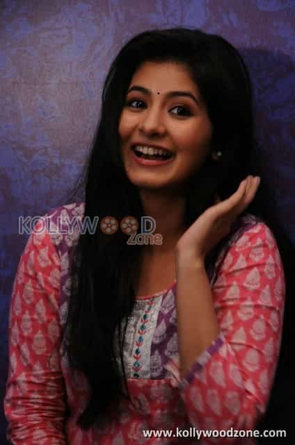 Actress Reshmi Menon Photos 43