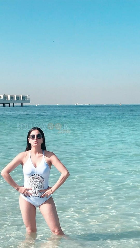 Actress Shraddha Arya Bikini Photos 04