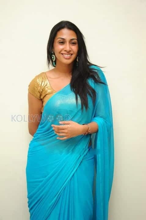 Gayathiri Iyer Sexy Saree Pictures 10