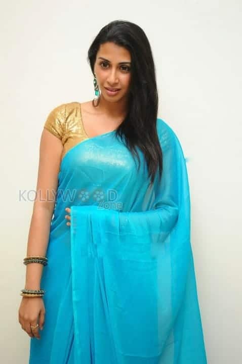 Gayathiri Iyer Sexy Saree Pictures 13