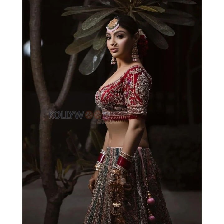 Gorgeous Akanksha Puri in a Bridal Lehenga Photos 01