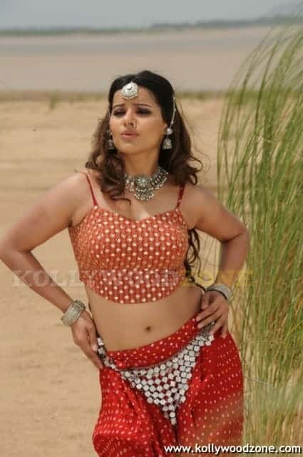 Madhu Sharma Pictures 26