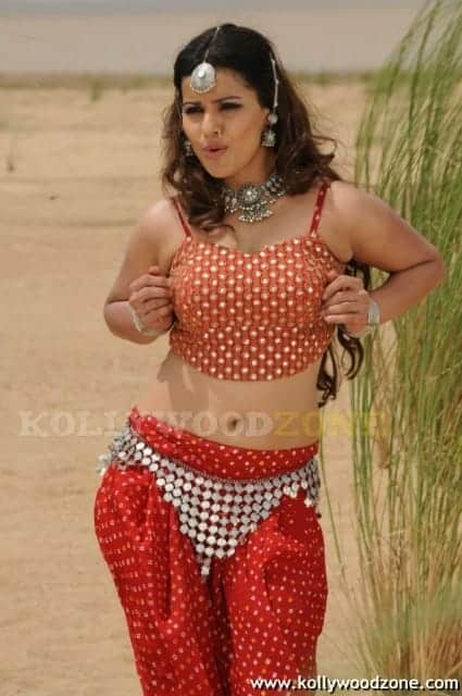 Madhu Sharma Pictures 27