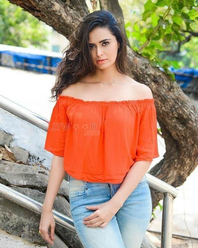 Meenakshi Dixit Sexy Hot Photos 19