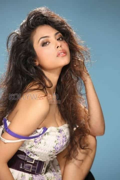 Meenakshi Hot Photos 06