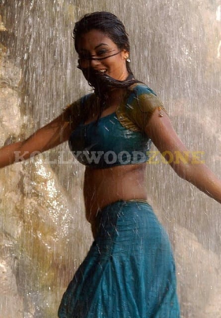 Meenakshi Sexy Stills 06