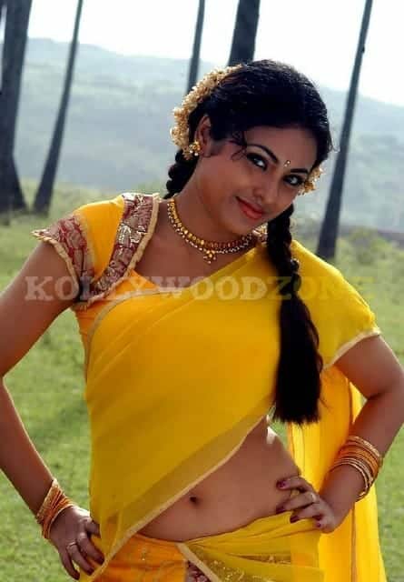 Meenakshi Sexy Stills 169