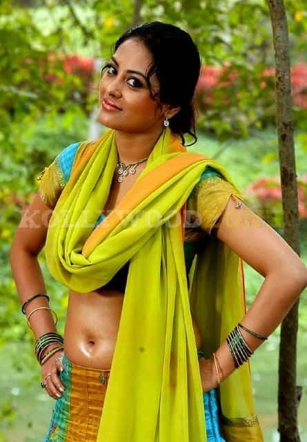 Meenakshi Sexy Stills 172