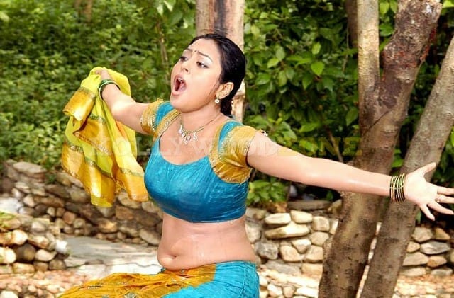 Meenakshi Sexy Stills 178