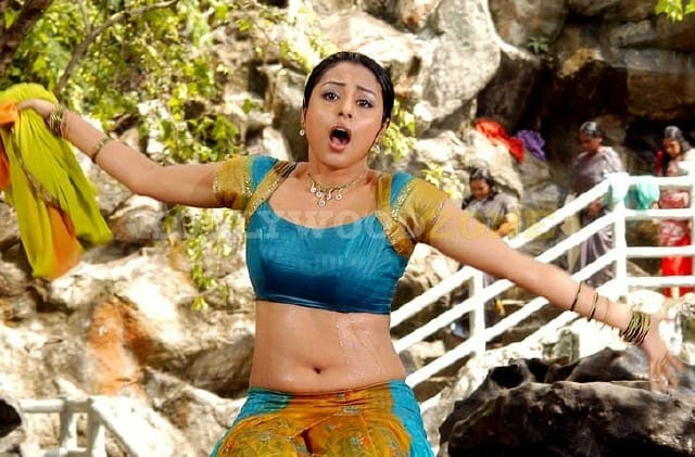 Meenakshi Sexy Stills 181