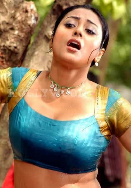 Meenakshi Sexy Stills 183