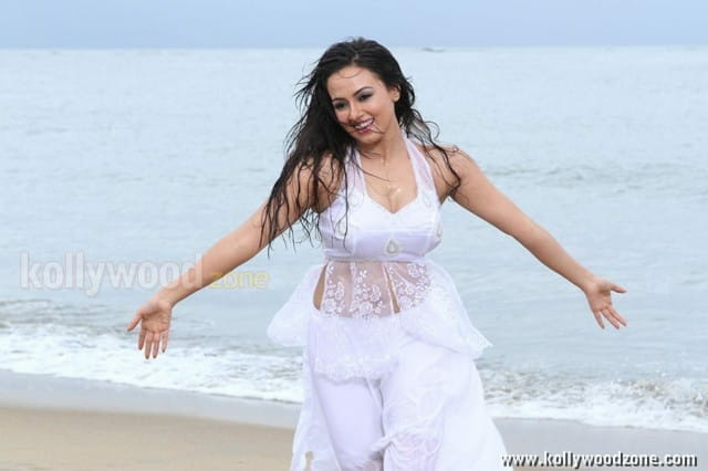 Nadigayin Diary Heroine Sana Khan Hot Spicy Pictures 09