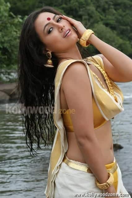 Nadigayin Diary Heroine Sana Khan Hot Spicy Pictures 16