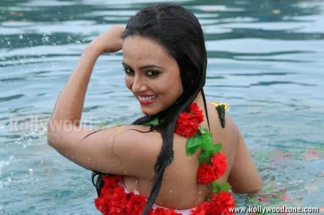 Nadigayin Diary Heroine Sana Khan Hot Spicy Pictures 18