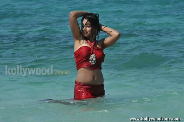 Pelli Pusthakam Heroine Neethi Taylor Stills 04