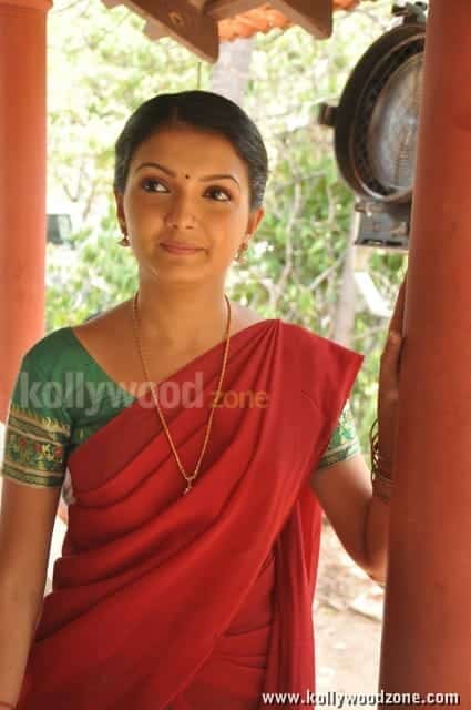 Saranya Mohan In Traditional Saree Pictures 11