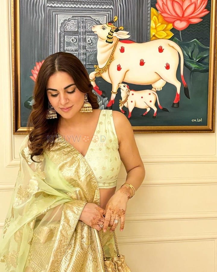 Shraddha Arya in a Pastel Saree for Diwali Photos 05