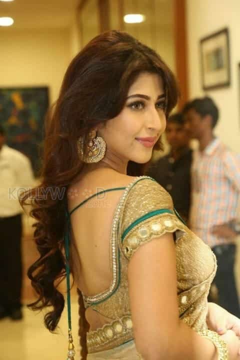 Actress Sonarika Bhadoria Sexy Saree Photos 06