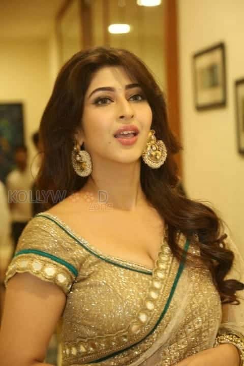 Actress Sonarika Bhadoria Sexy Saree Photos 08