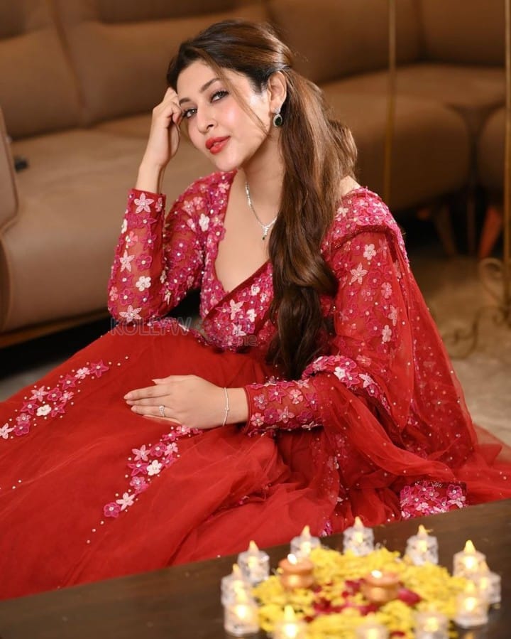 Actress Sonarika Bhadoria in a Red Ethnic Outfit Pictures 01